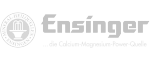 Ensinger Logo